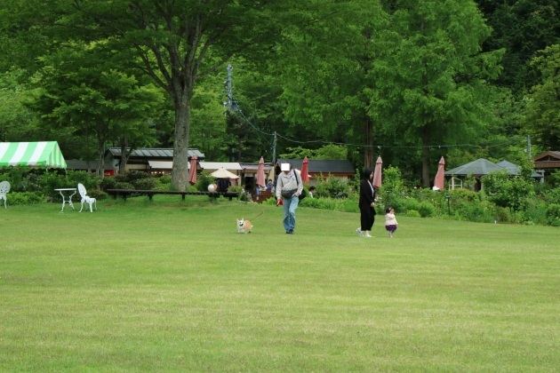 f0075595_23165338.jpg