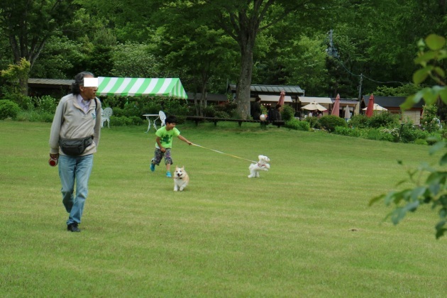 f0075595_23170714.jpg