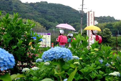 雨が降ってきた_b0145296_9293615.jpg