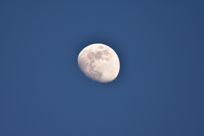 c0049299_22361635.jpg