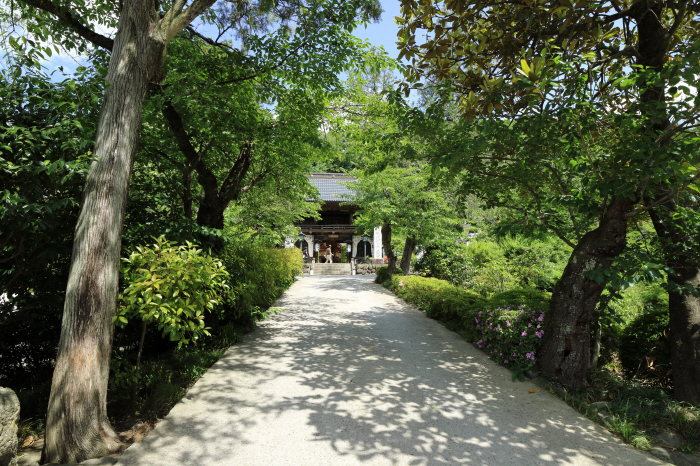 秩父12番札所　仏道山野坂寺＃２_a0357206_19442093.jpg