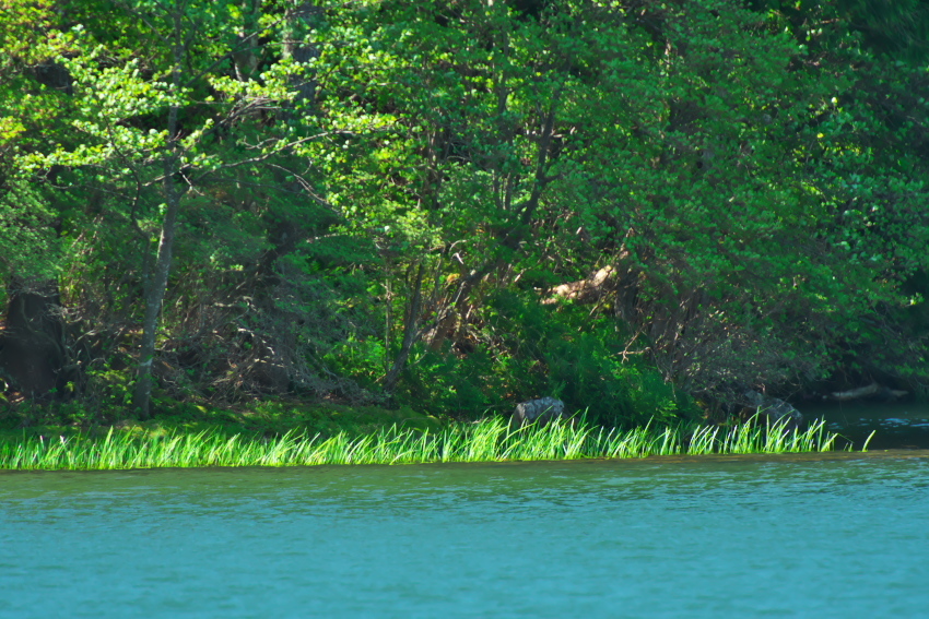 a0263109_20141420.jpg