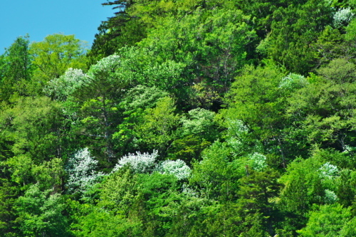 a0263109_20141870.jpg