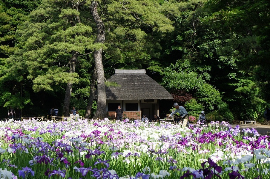 b0112909_21052291.jpg