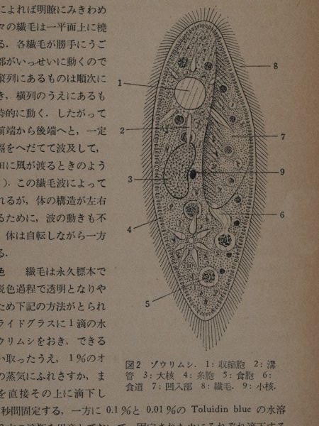 c0164709_21070453.jpg