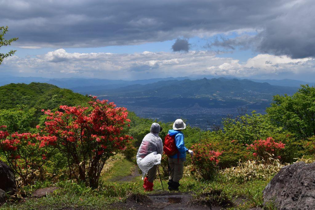 2016/6/2 鍋割山・荒山　ヤマツツジ_a0340812_08183272.jpg