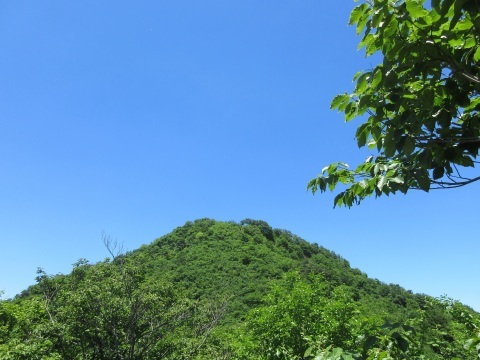 f0149422_23563905.jpg
