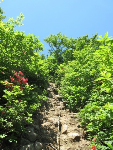 f0149422_23572572.jpg