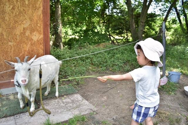 はじめての運動会☆_a0274324_13570823.jpg