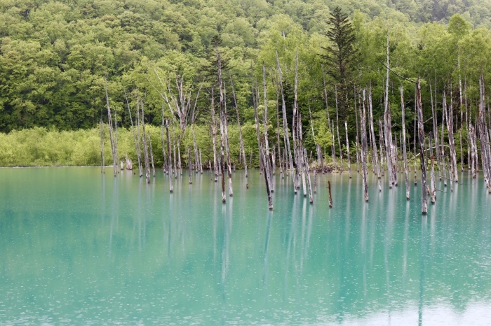 f0348831_06541559.jpg