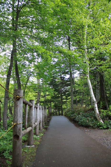 【銀河の滝/流星の滝】北海道旅行 - 3 -_f0348831_23283937.jpg