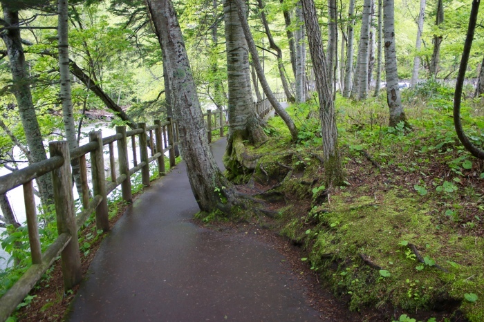 【銀河の滝/流星の滝】北海道旅行 - 3 -_f0348831_23284131.jpg