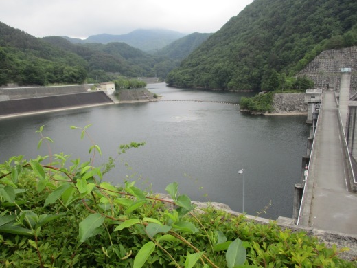 d0127634_12410600.jpg
