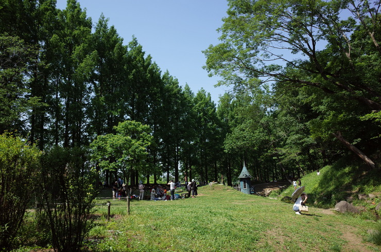 埼玉県飯能市をぶらぶら その6～トーベ・ヤンソンあけぼの子どもの森公園_a0287336_20443710.jpg