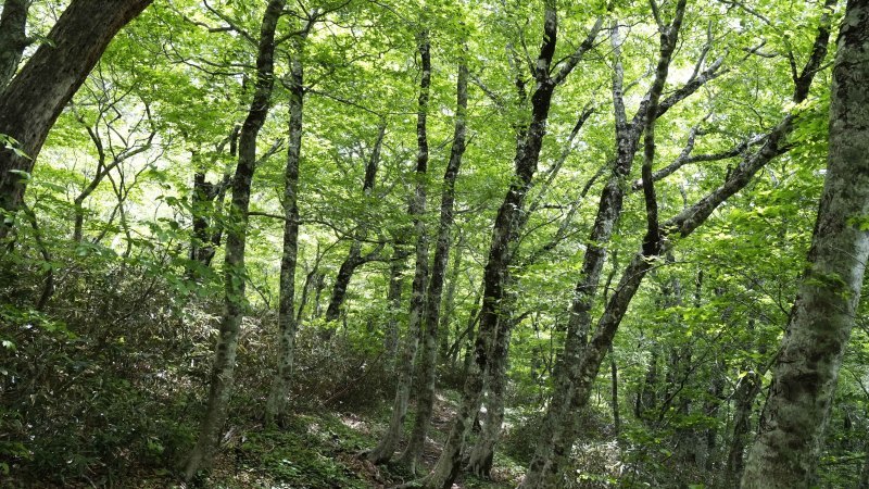 d0347140_17403921.jpg