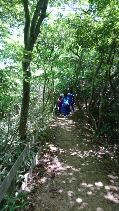 b0148050_17164430.jpg