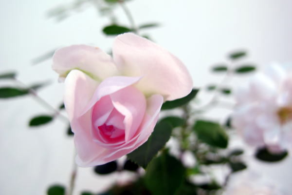 c0147952_22425740.jpg