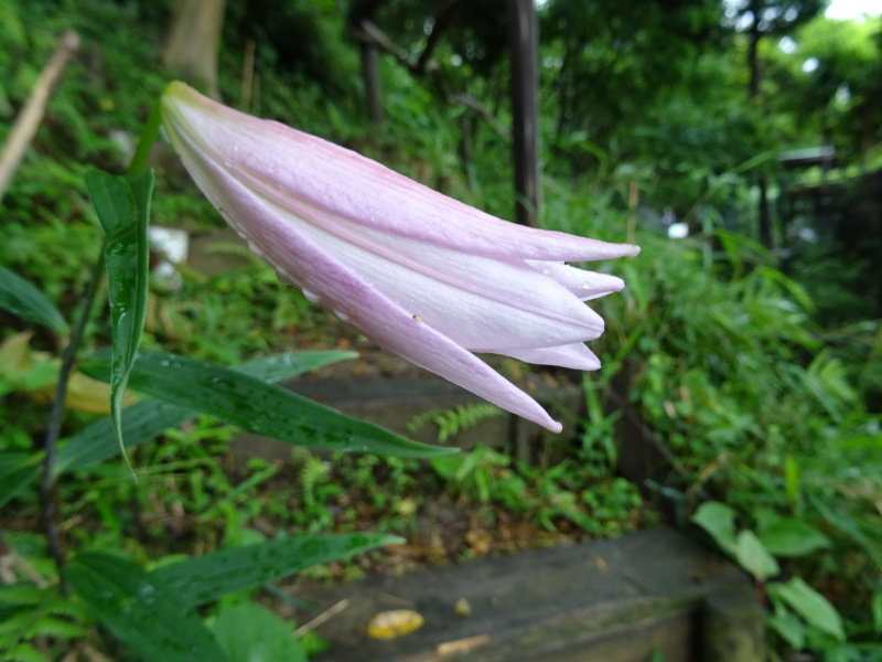 c0108460_20514881.jpg