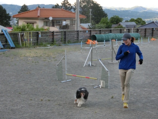 c0140260_21000626.jpg