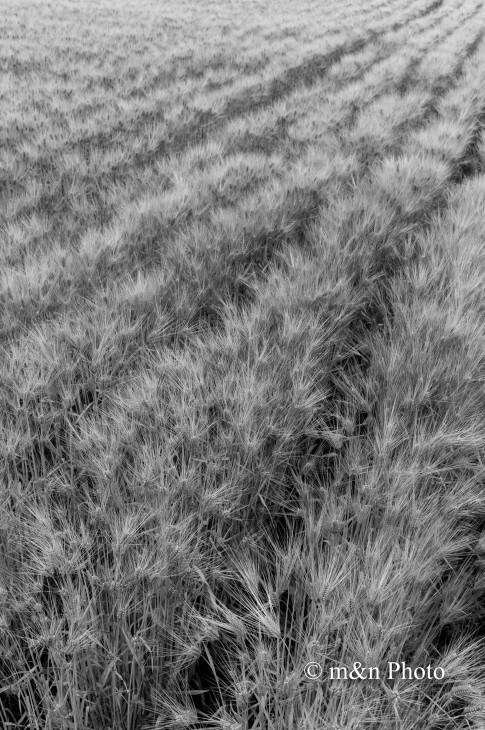 e0321360_23185641.jpg