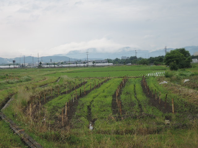 a0144564_21284745.jpg