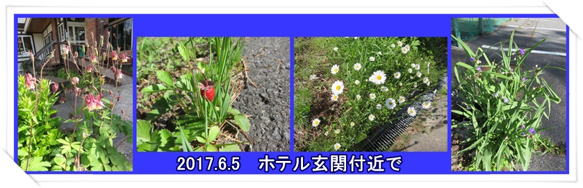 a0052666_23474389.jpg
