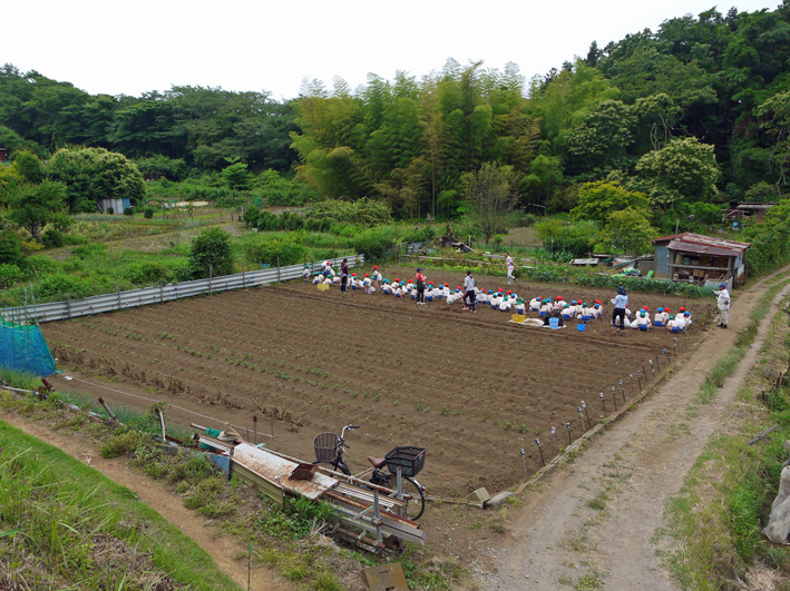 六国見山で幼稚園児が楽しそうにジャガイモ掘り（6・7）_c0014967_245279.jpg