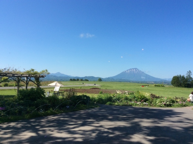 洞爺のアイスクリーム&#127848;カフェ_d0150967_21230445.jpg