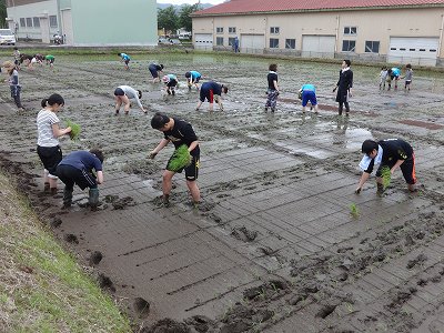 親子田んぼ教室　　　　　　魚沼基幹病院田植え_b0092684_20195351.jpg