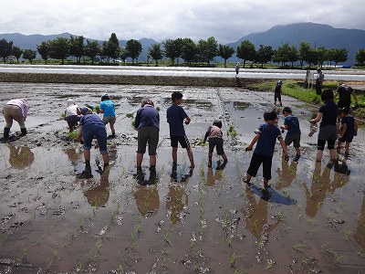 親子田んぼ教室　　　　　　魚沼基幹病院田植え_b0092684_2053920.jpg