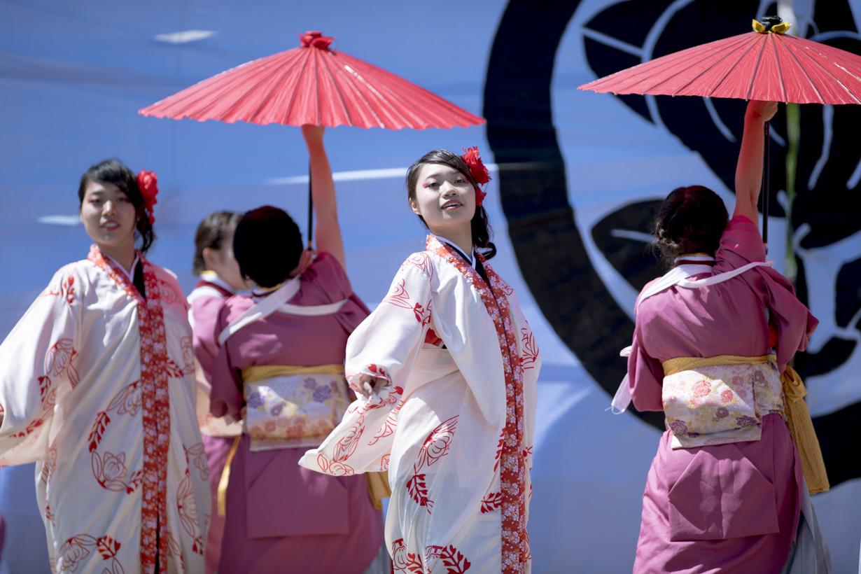 第１４回犬山踊芸祭  浜松学生連　鰻陀羅_f0184198_12433027.jpg