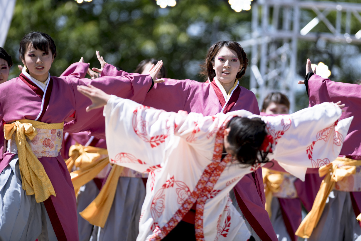 第１４回犬山踊芸祭  浜松学生連　鰻陀羅_f0184198_12440401.jpg