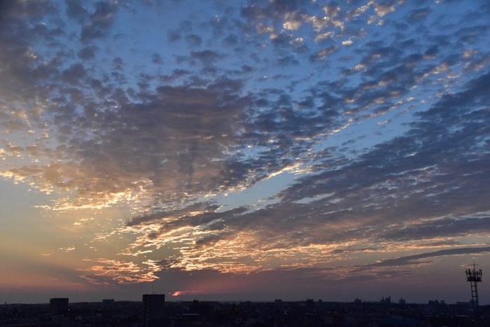 c0049299_23320959.jpg
