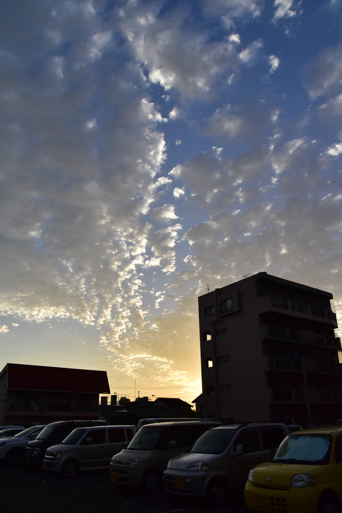 c0049299_23324830.jpg