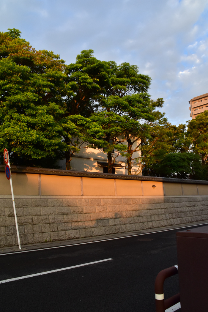 c0049299_23324973.jpg