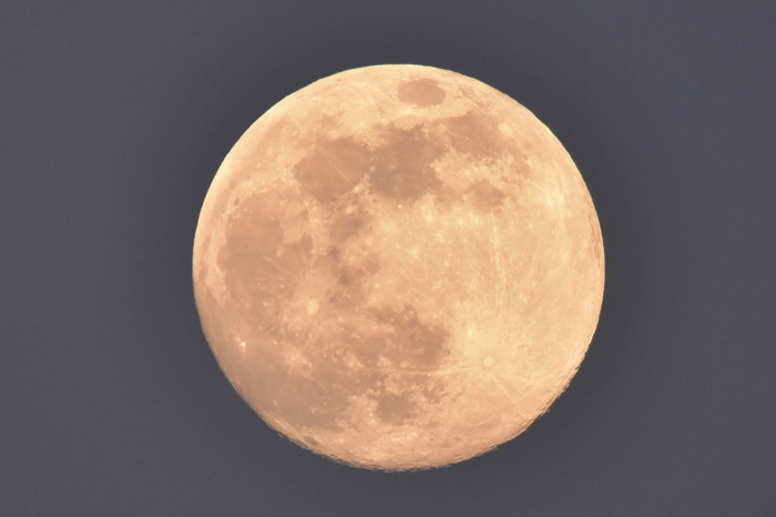 c0049299_23511247.jpg