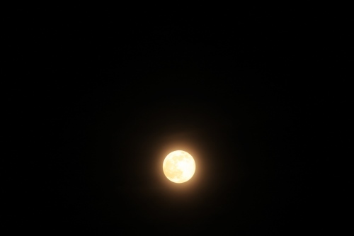 c0368903_23031570.jpg