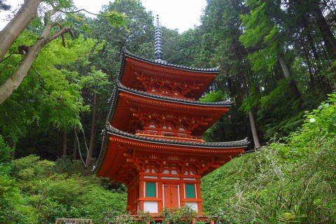b0069604_21272805.jpg