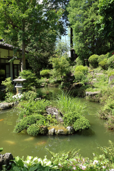 秩父12番札所　仏道山野坂寺＃２_a0357206_21462317.jpg