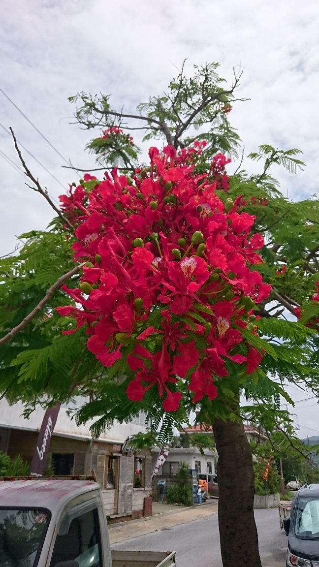 e0123808_00394985.jpg