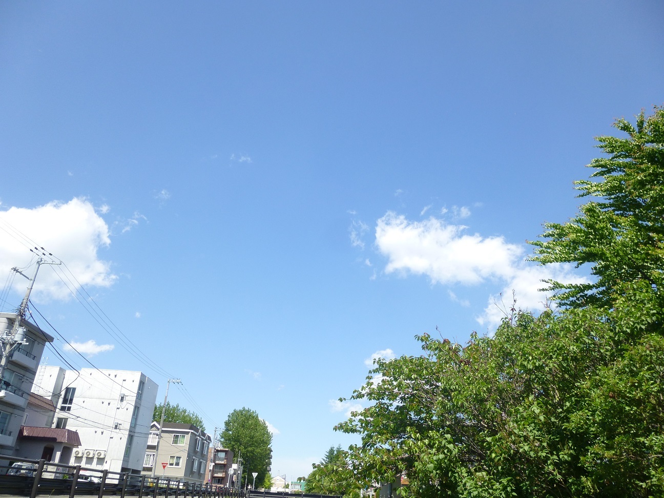b0198109_20593029.jpg