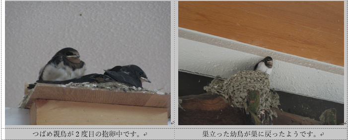 f0231709_01325335.png