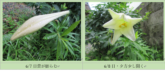 f0231709_21321166.png