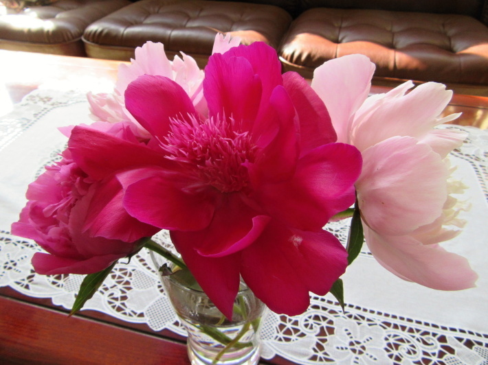 f0067514_16132542.jpg