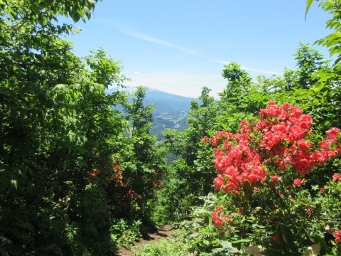 f0149422_23284101.jpg