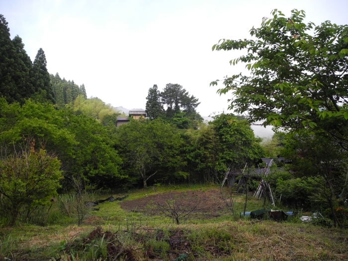 c0212823_08061084.jpg