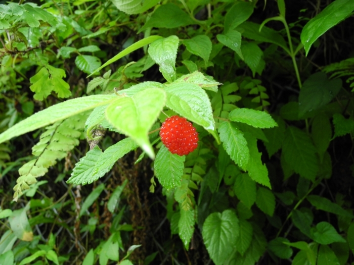 c0212823_08063901.jpg