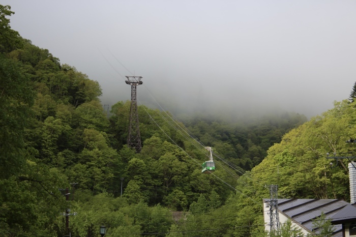 f0348831_19000166.jpg
