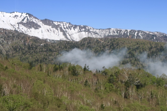 f0348831_19014223.jpg