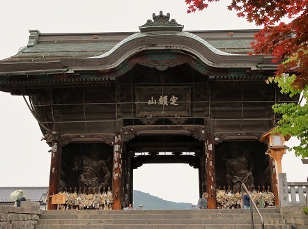 29.6.7. 母を連れて善光寺　＊_d0357733_14091705.jpg